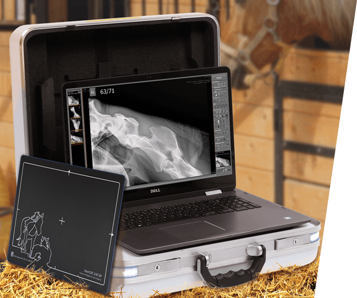 Leonardo DR mini II - lightweight portable X-ray system incl. Xray software, X ray detector and accessories for stable and clinic