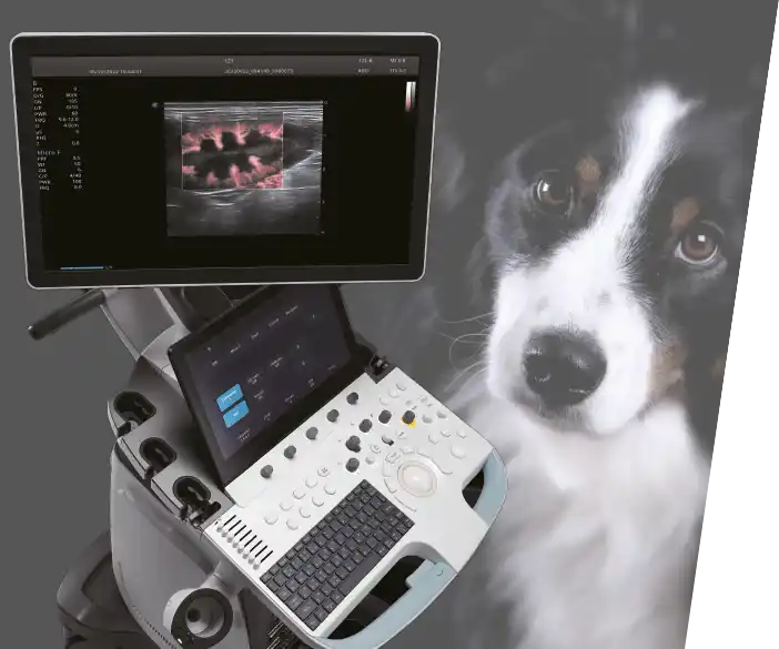 Sonography Professional V70 - mobile ultrasound system for vets