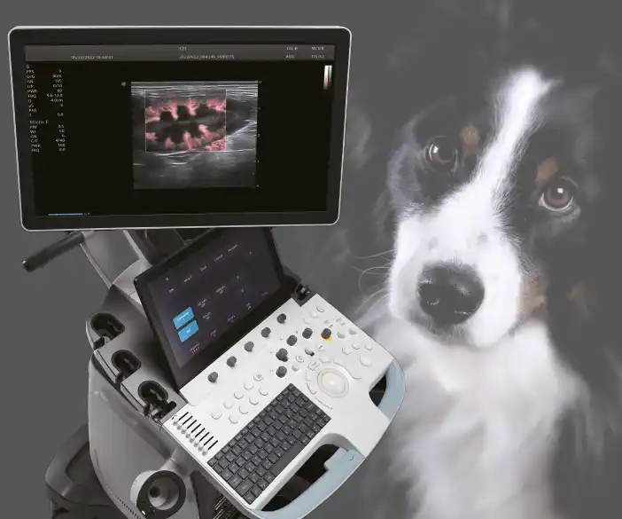 Sonosystem Professional V70 - mobile ultrasound system for vets