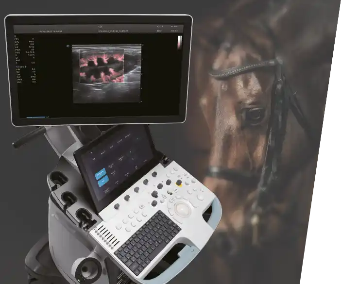 Sonoscape PetPro v 70 ultrasound device for equine practitioners and veterinarians