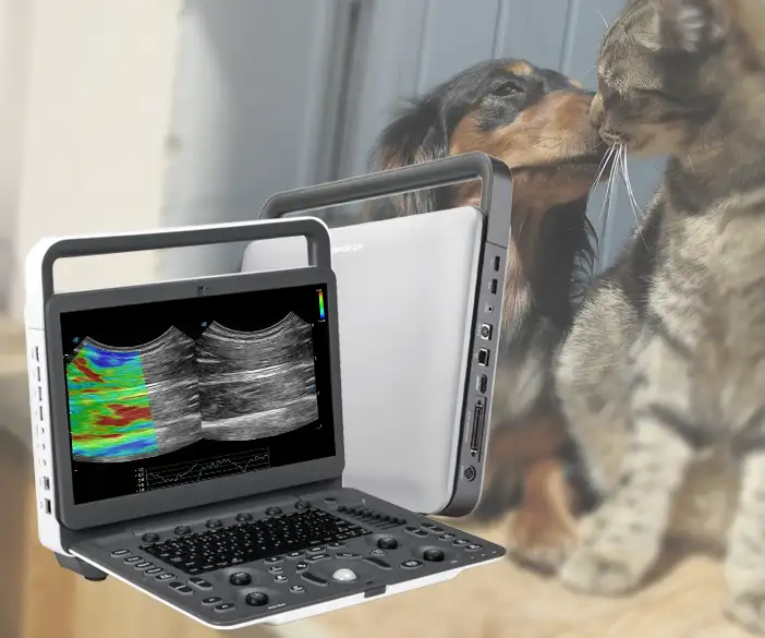 mobile ultrasound system for veterinarians