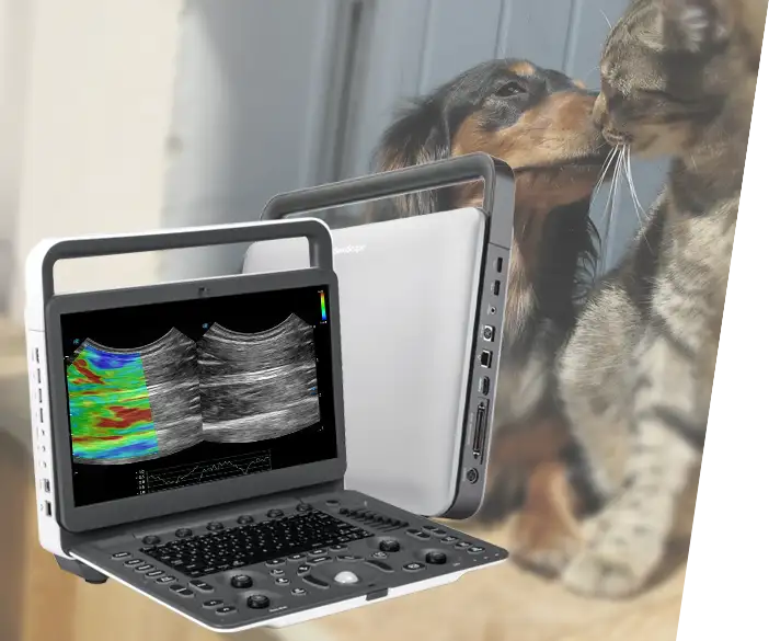 Sonoscape - mobile ultrasound system for veterinarians