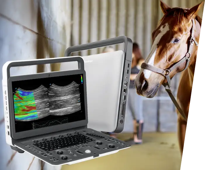 Sonoscape E2V portable ultrasound device for equine veterinarians