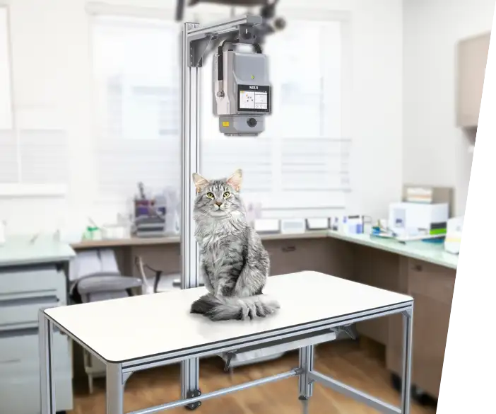 Amadeo V pico - compact low-cost X-ray table for veterinarians