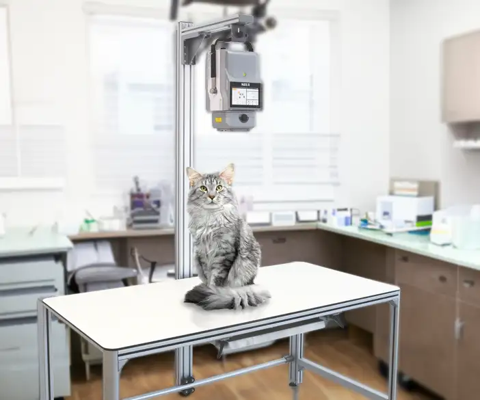 Amadeo V pico - the affordable X-ray system for veterinarians