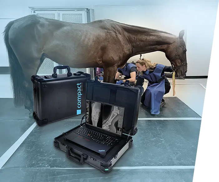 Leonardo DR nano - système de radiographie portable pour les vétérinaires