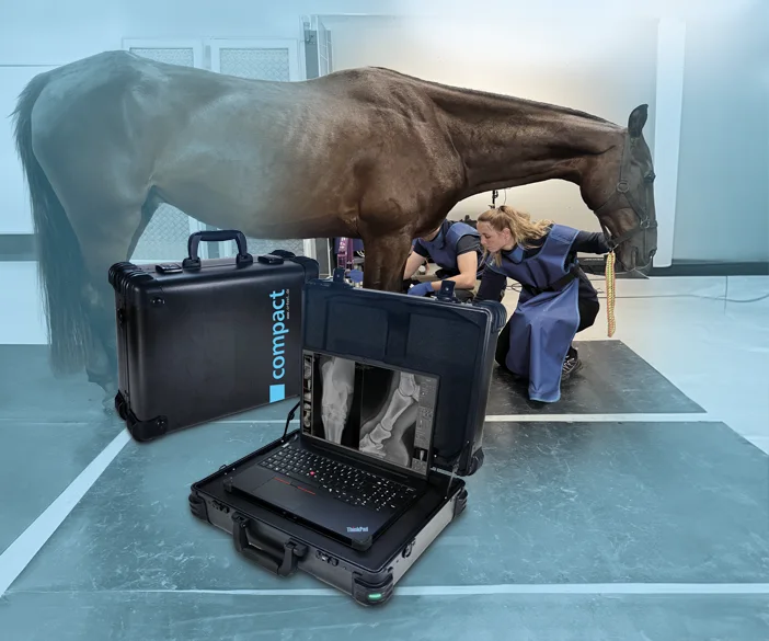 Système de radiographie vétérinaire pour chiens et petits animaux