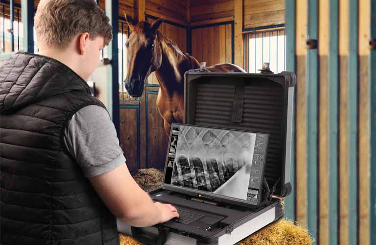 The X-ray system is designed for mobile X-ray in the stable
