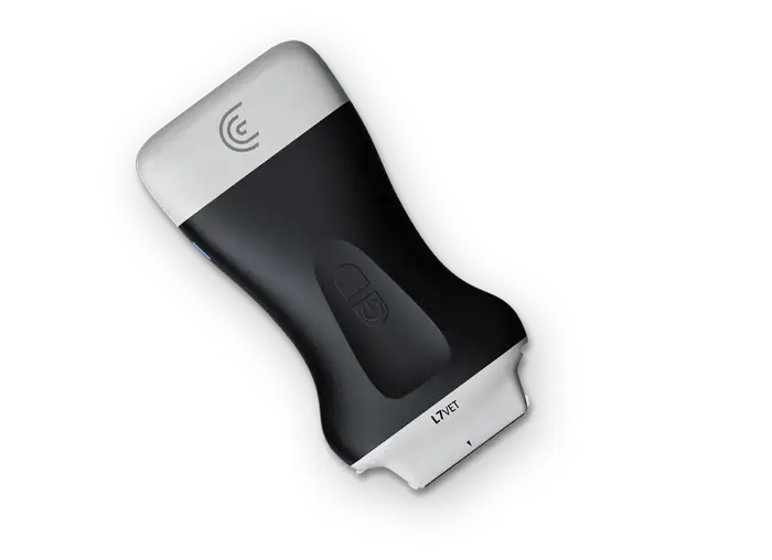 Convex C3 HD3 - Clarius Portable Handheld Ultrasound Machine