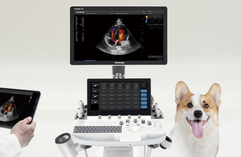 OR sono professional V70 Ultrasound system