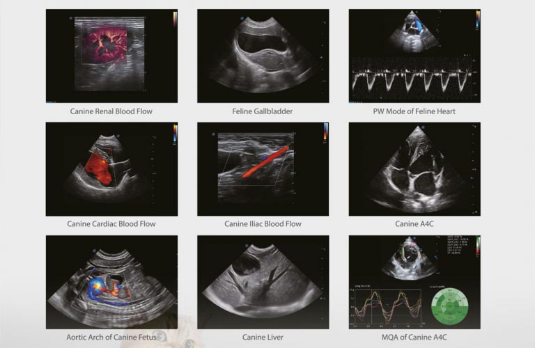 OR sono professional V70 Ultrasound system