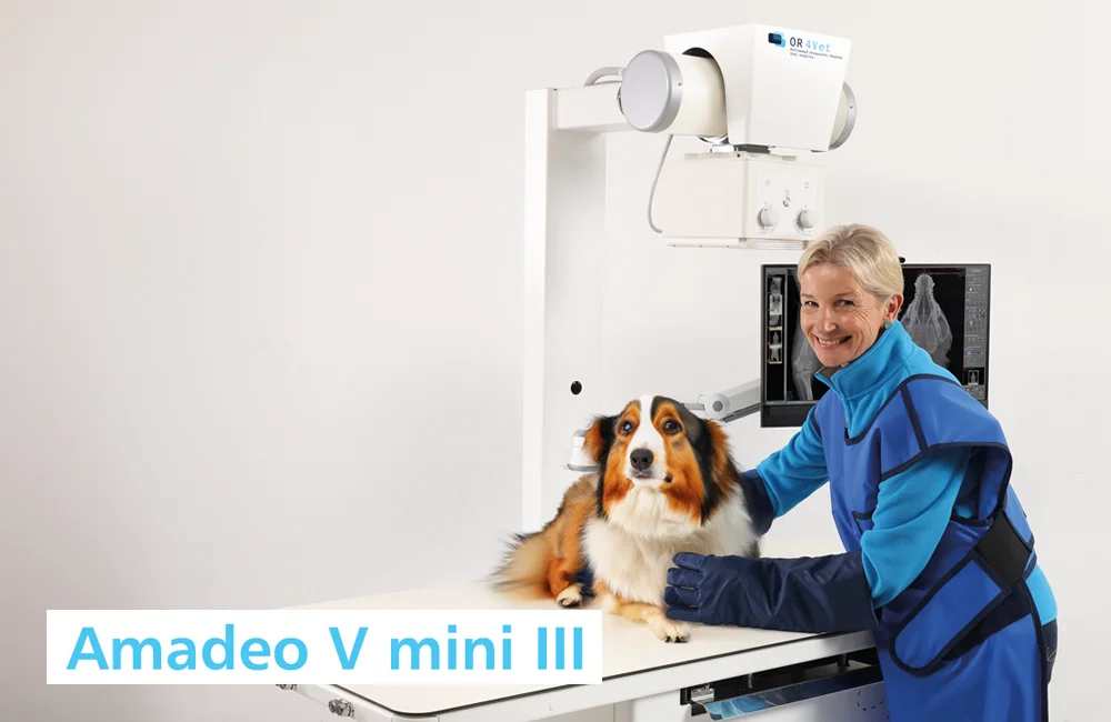 Amadeo V mini III - Digitales Röntgensystem für Hunde im Einsatz