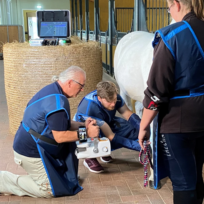 Ein Team von Tierärtzen röntgt ein Pferd mit einem tragbaren Röntgengerät