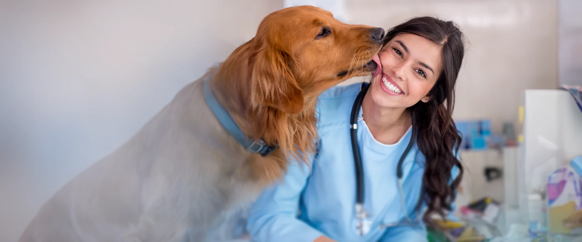 Digitale Nachrüstsets für analoge Röntgenanlagen für Tierärzte