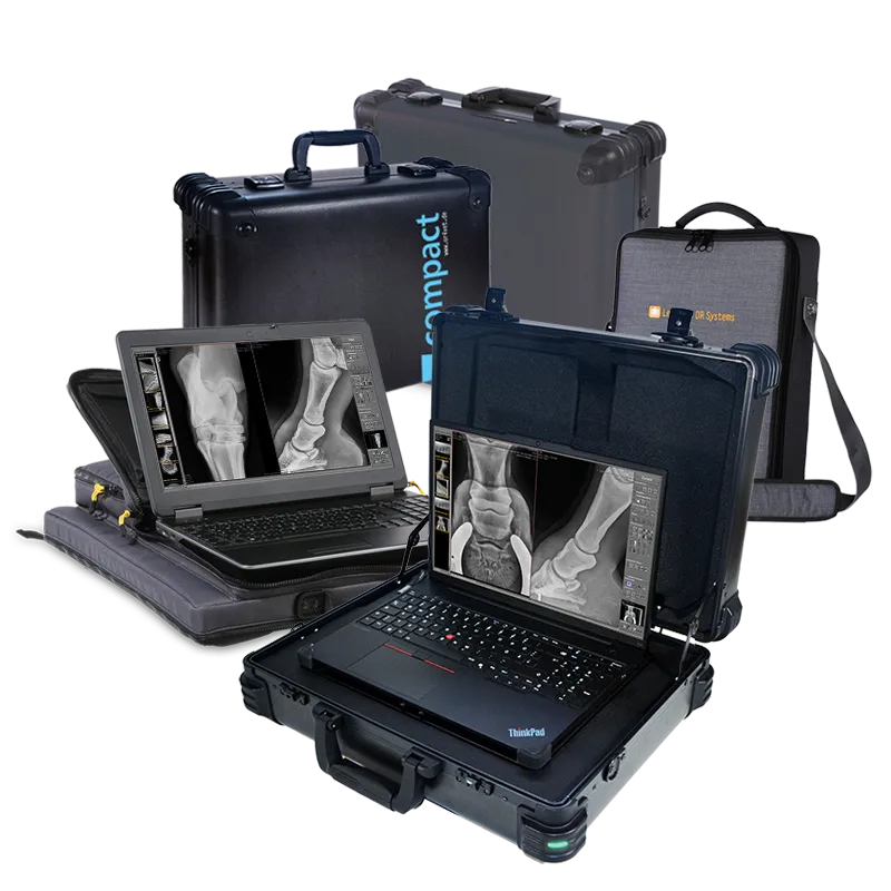 Leonardo DR - tragbare Röntgensysteme für Tierärzte