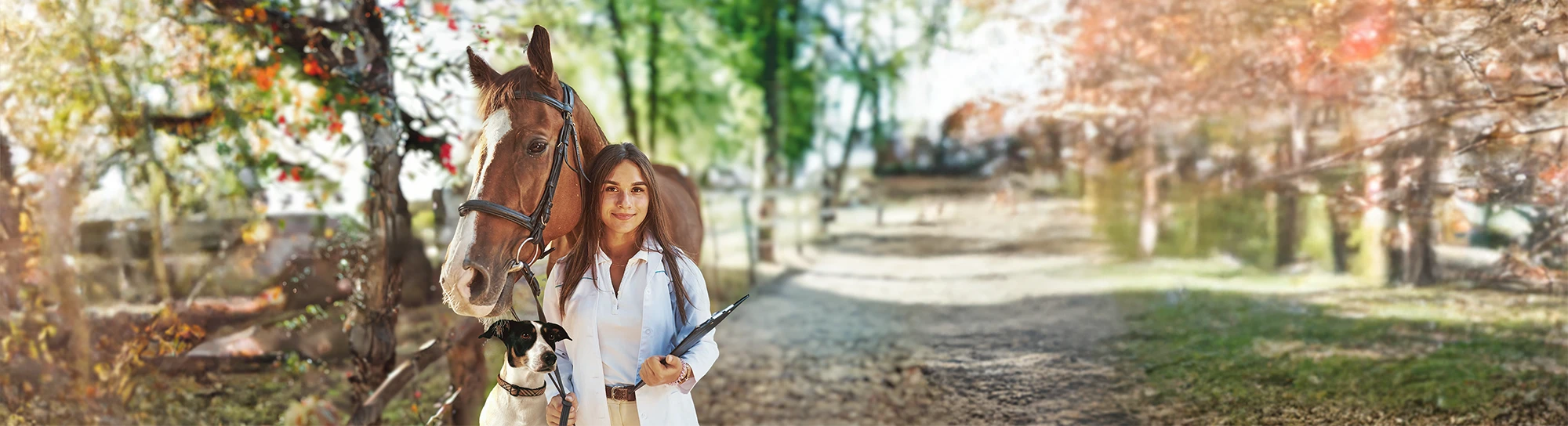OR 4vets - Glückliche Tieräzte und Patienten